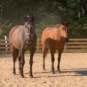 Meet your Posher, April